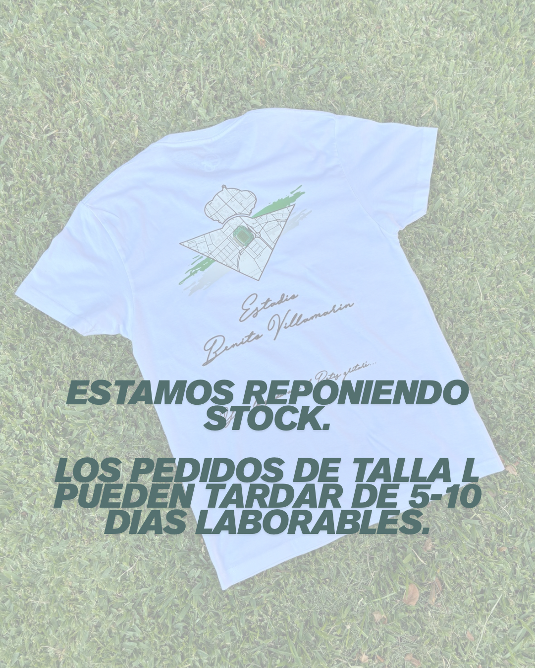 Camiseta Estadio Benito Villamarín