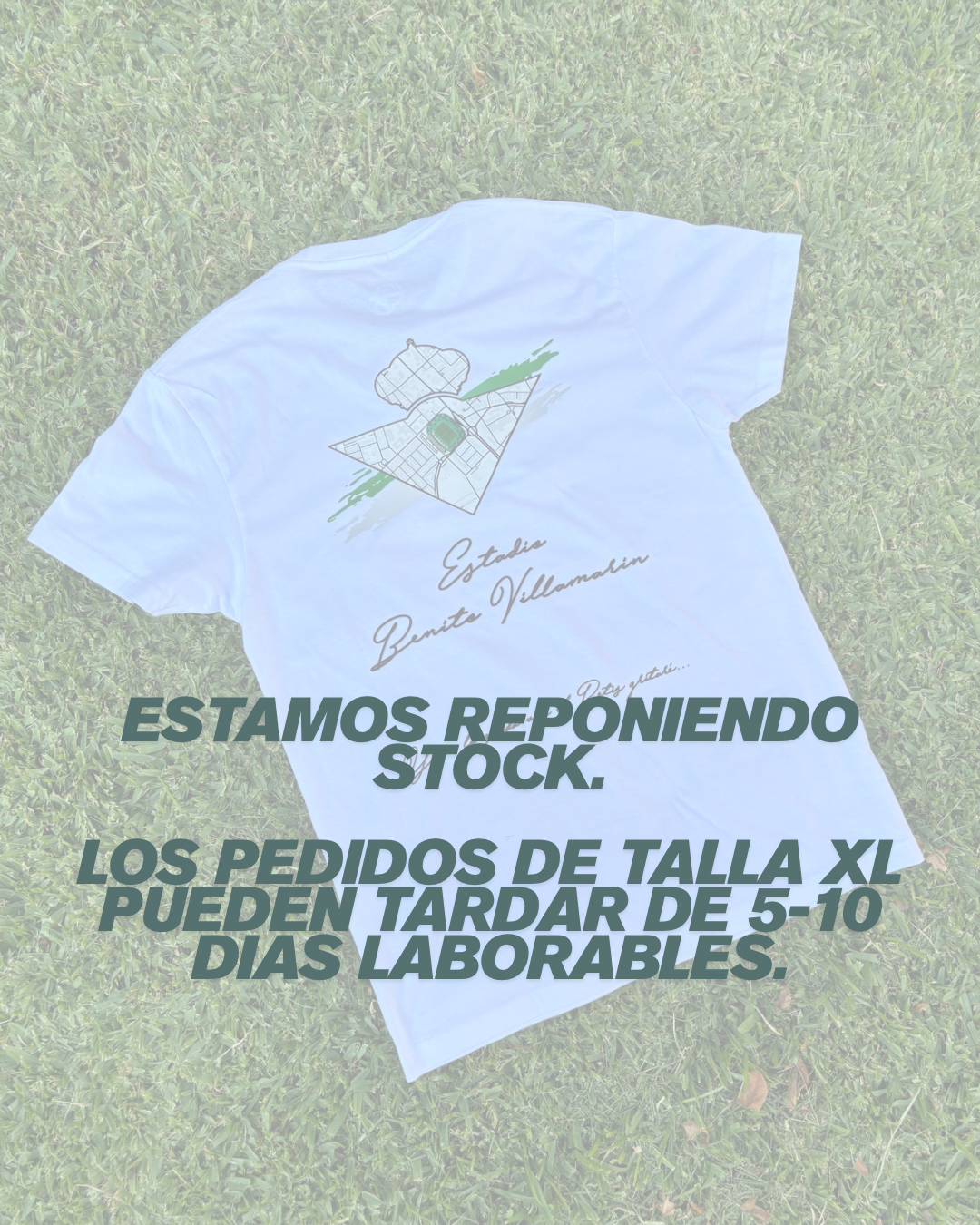 Camiseta Estadio Benito Villamarín